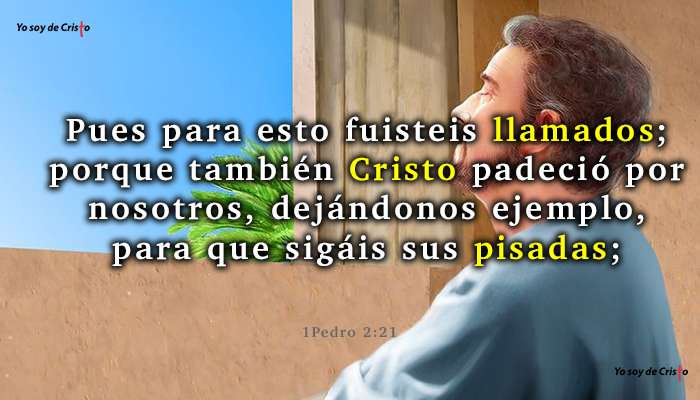 1Pedro 2-21 seguir el ejemplo de Jes&uacute;s