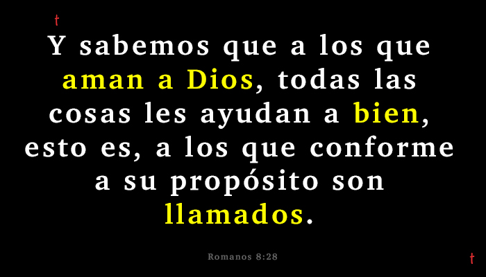 Romanos 8-28 La verdadera Iglesia no tiene nada que temer