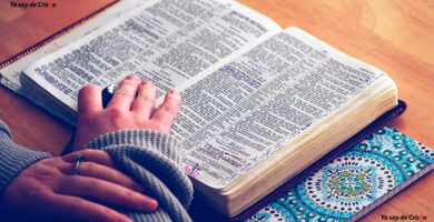 como leer la biblia en un año