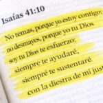 5 versículos bíblicos para una semana bendecida