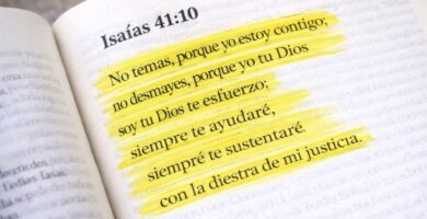 5 vers&iacute;culos b&iacute;blicos para una semana bendecida